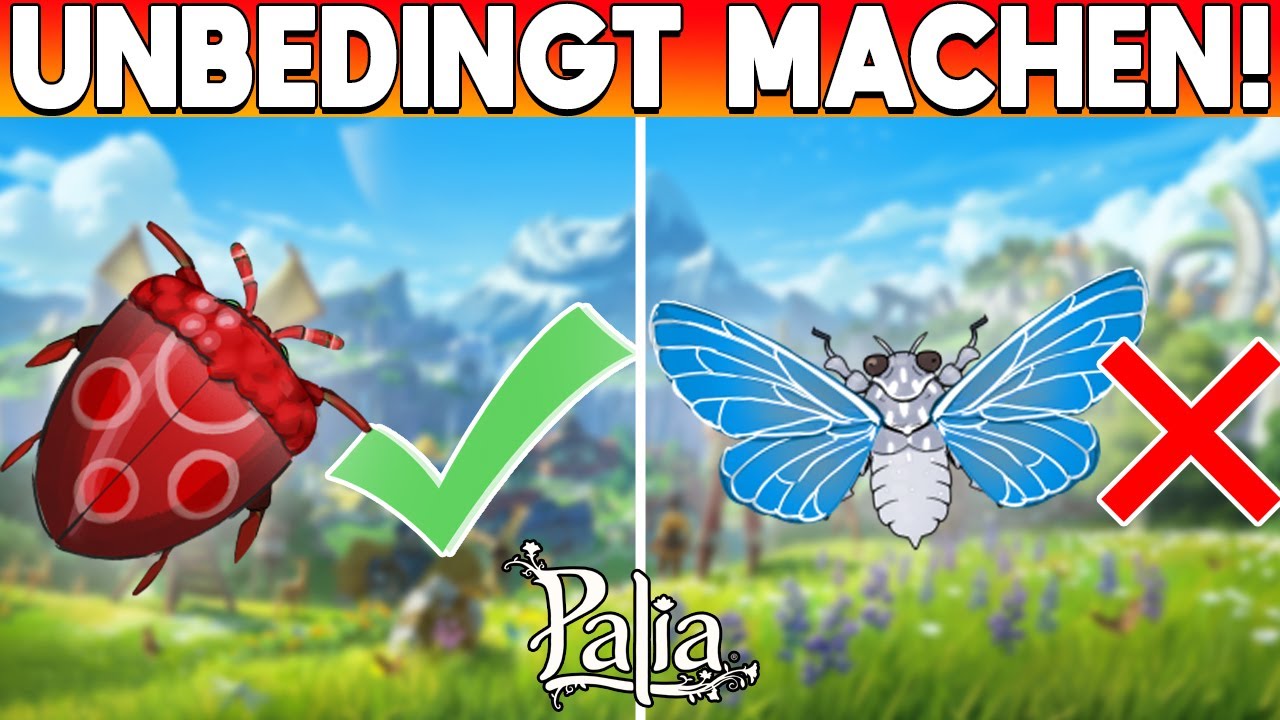 UPDATE ÜBERRASCHEND GROSS! 😍 Alle Infos! 💪 PALIA (0.194)