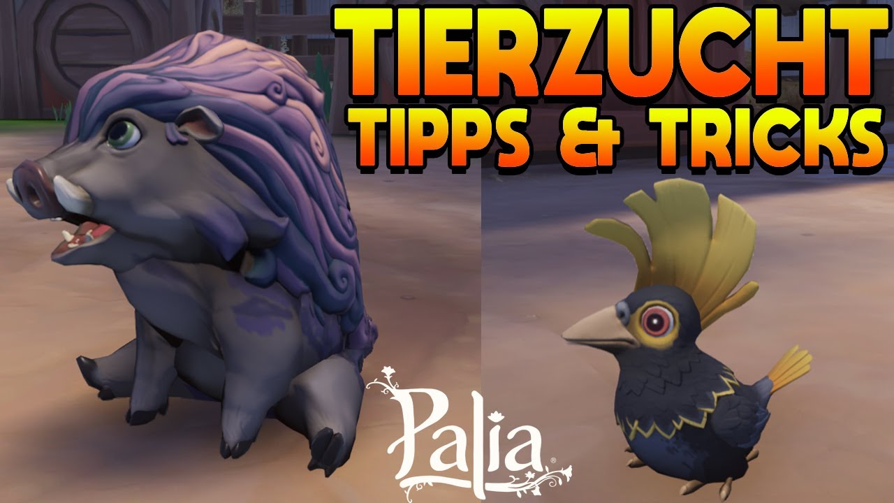PALIA - HOFARBEIT 🤠 SCHNELLER LEVELN - MEHR TIERE BEKOMMEN! 😎