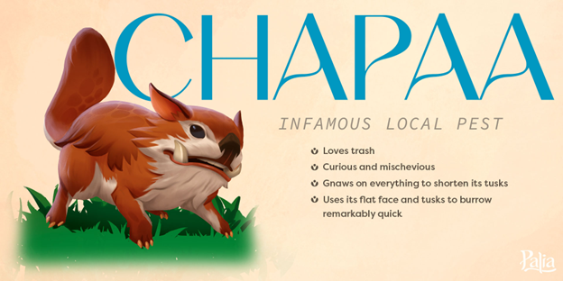 Chapaa_02