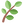:herb: